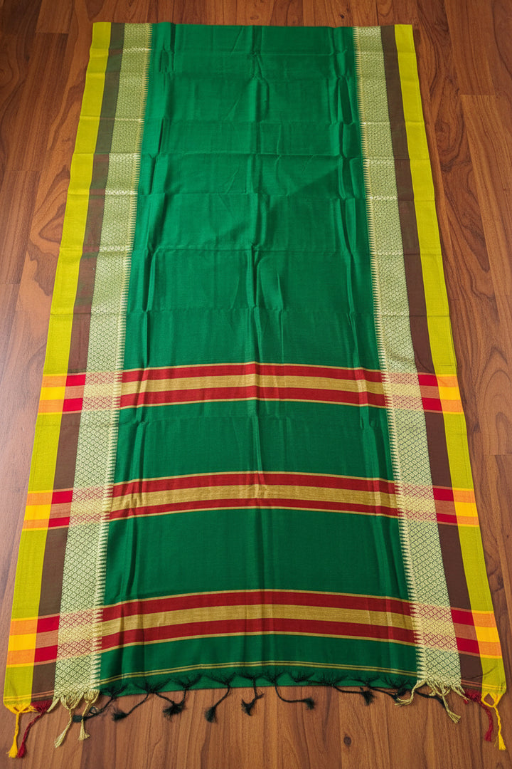 A Real saree Lover- Narayanpet Saree