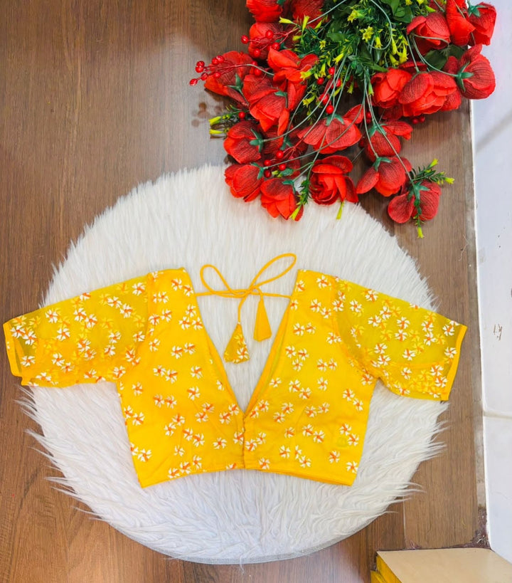 Shiuli Radiance – Designer Organza Blouse