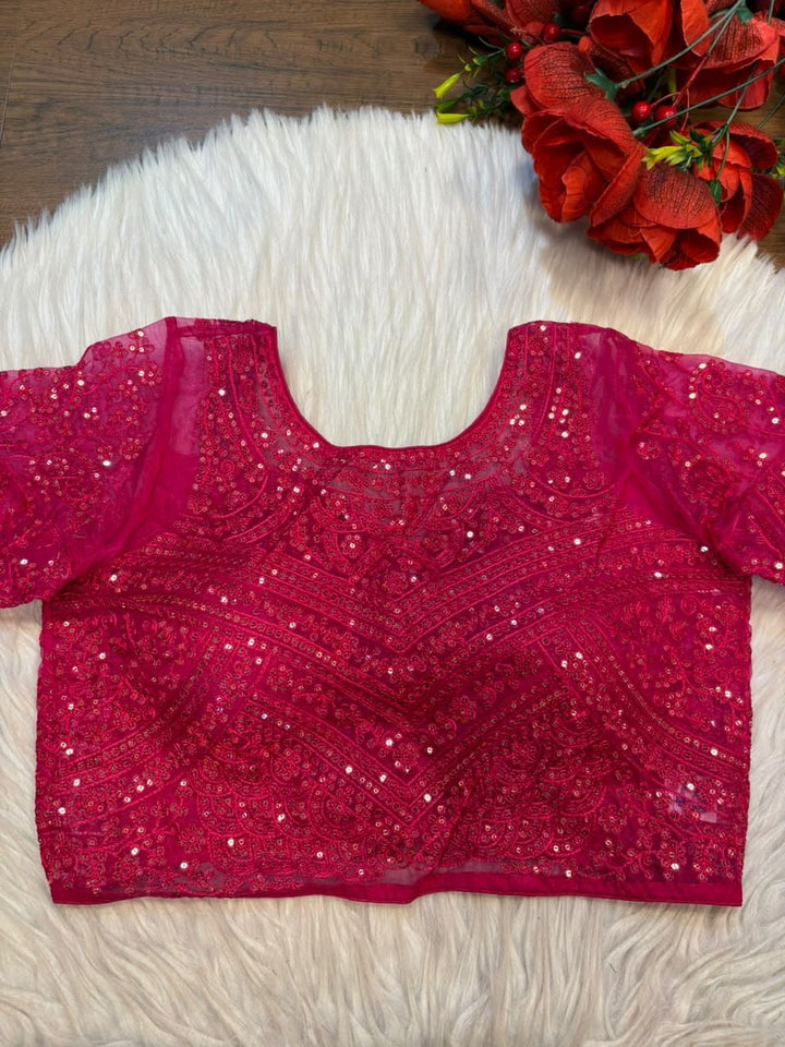 The Celestial Legacy – Designer Organza Blouse