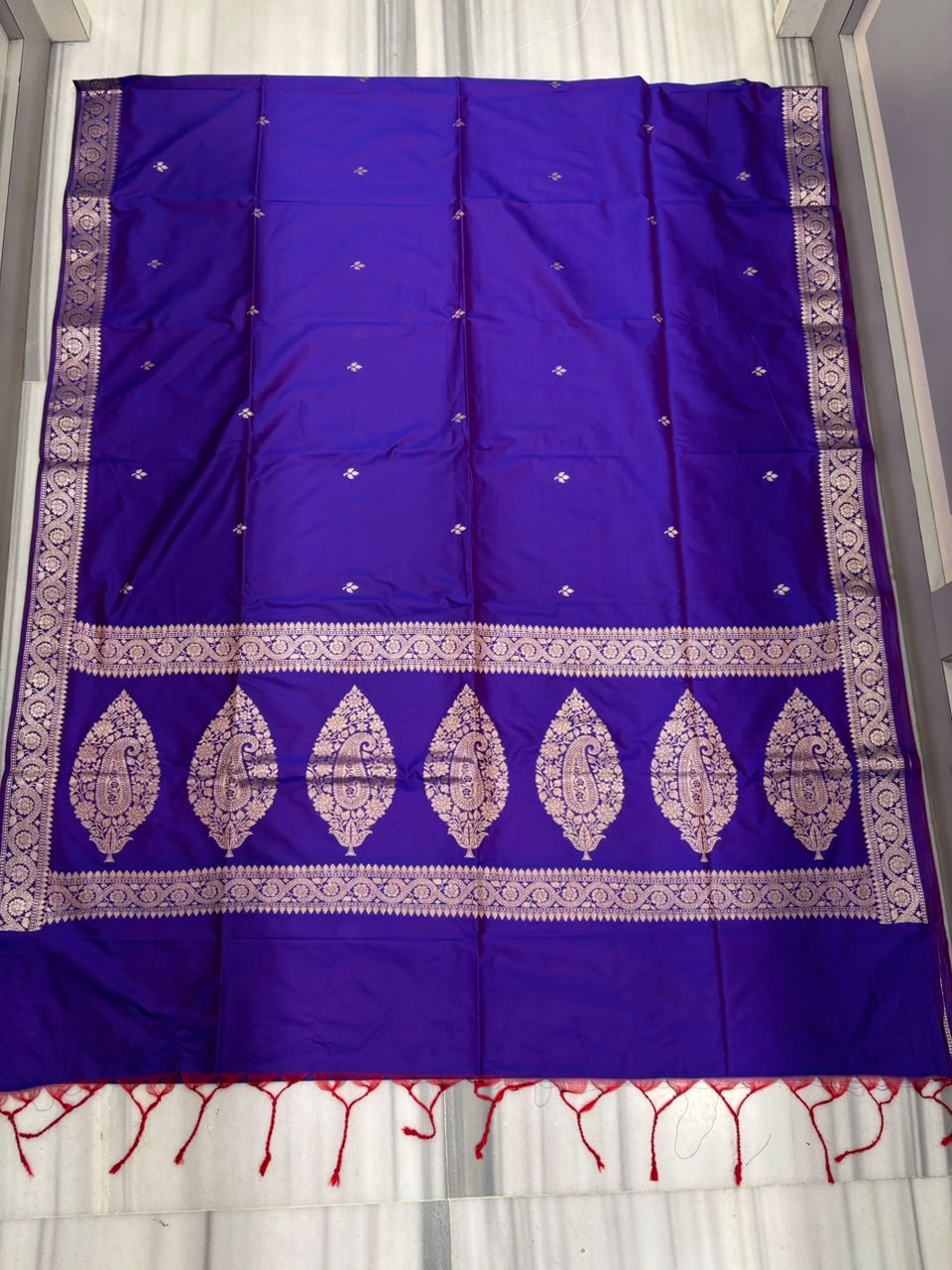 Maharani Moment - Muga Katan Silk Saree