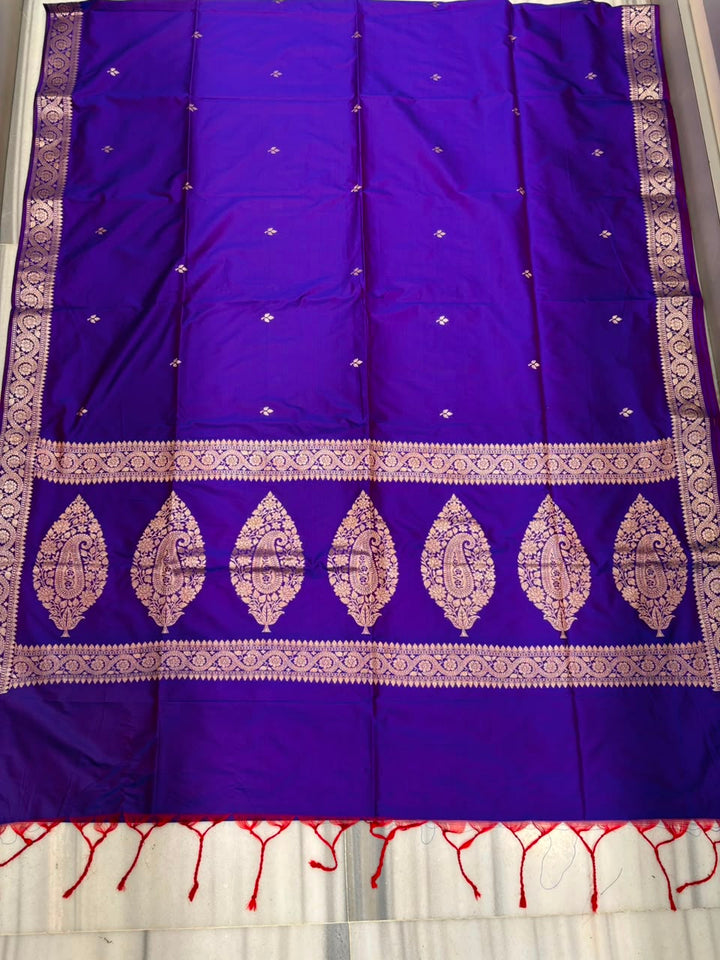 Maharani Moment - Muga Katan Silk Saree