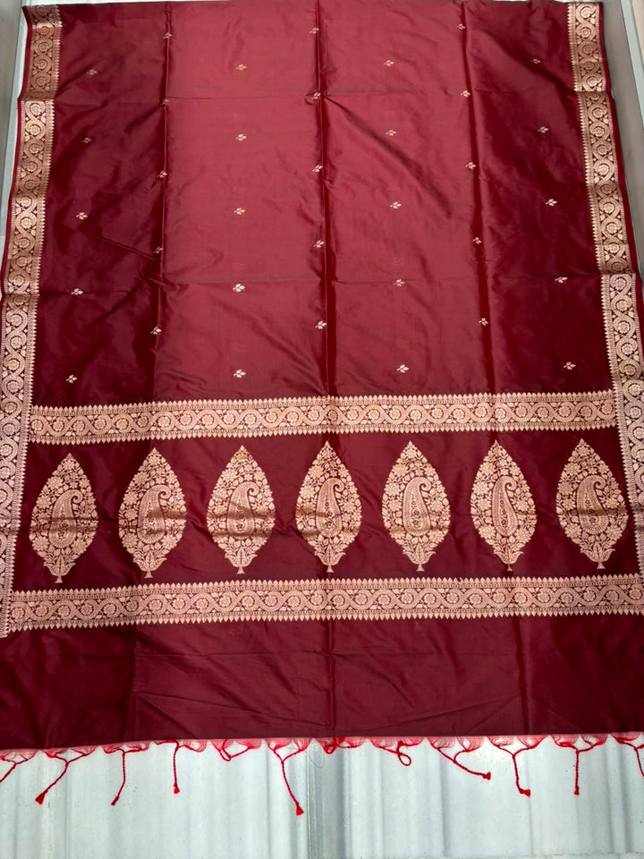 Maharani Moment - Muga Katan Silk Saree