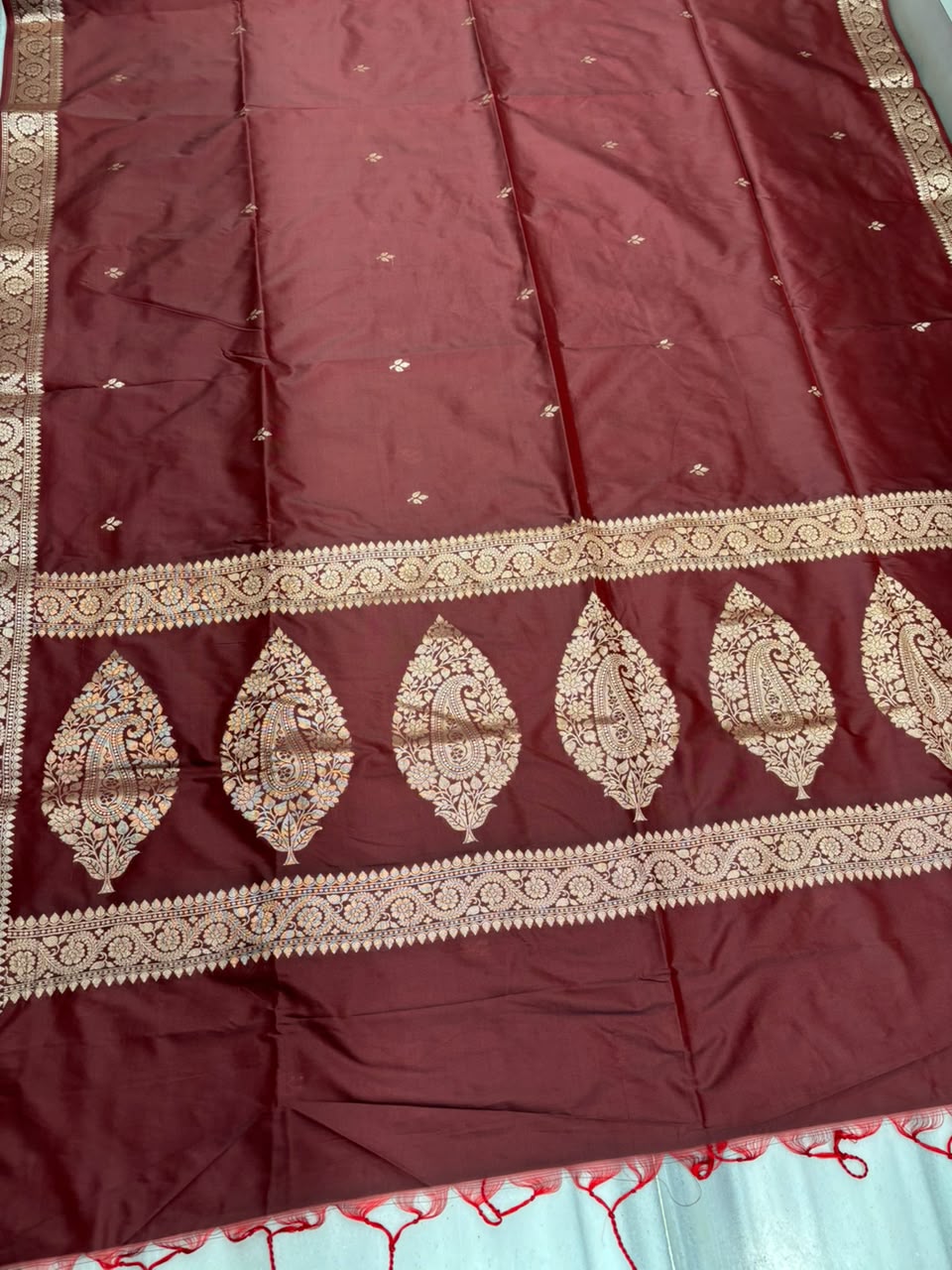 Maharani Moment - Muga Katan Silk Saree