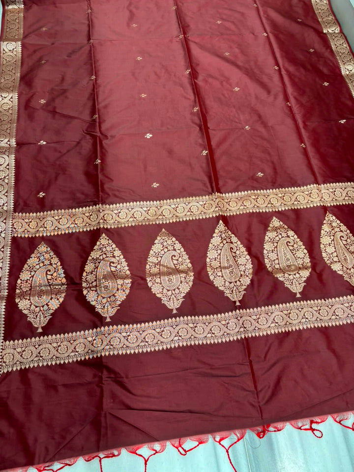 Maharani Moment - Muga Katan Silk Saree
