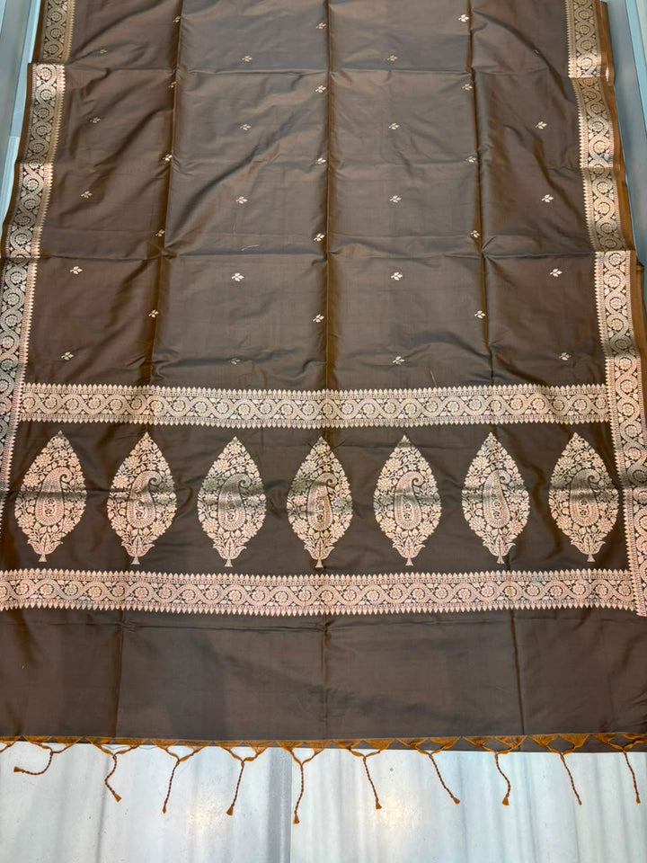 Maharani Moment - Muga Katan Silk Saree