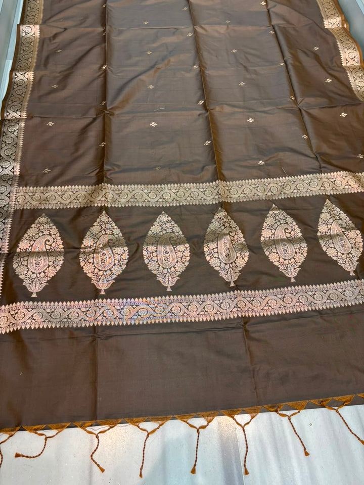 Maharani Moment - Muga Katan Silk Saree