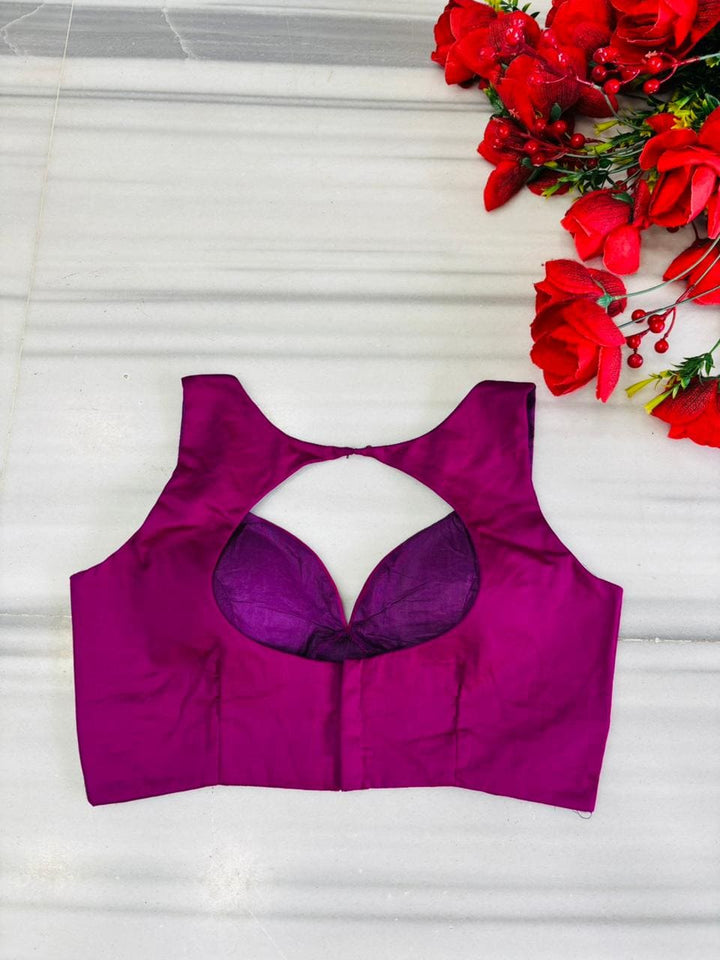 Gems of Glamour (Fancy Designer Blouse)