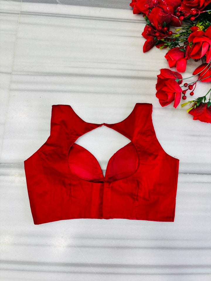 Gems of Glamour (Fancy Designer Blouse)