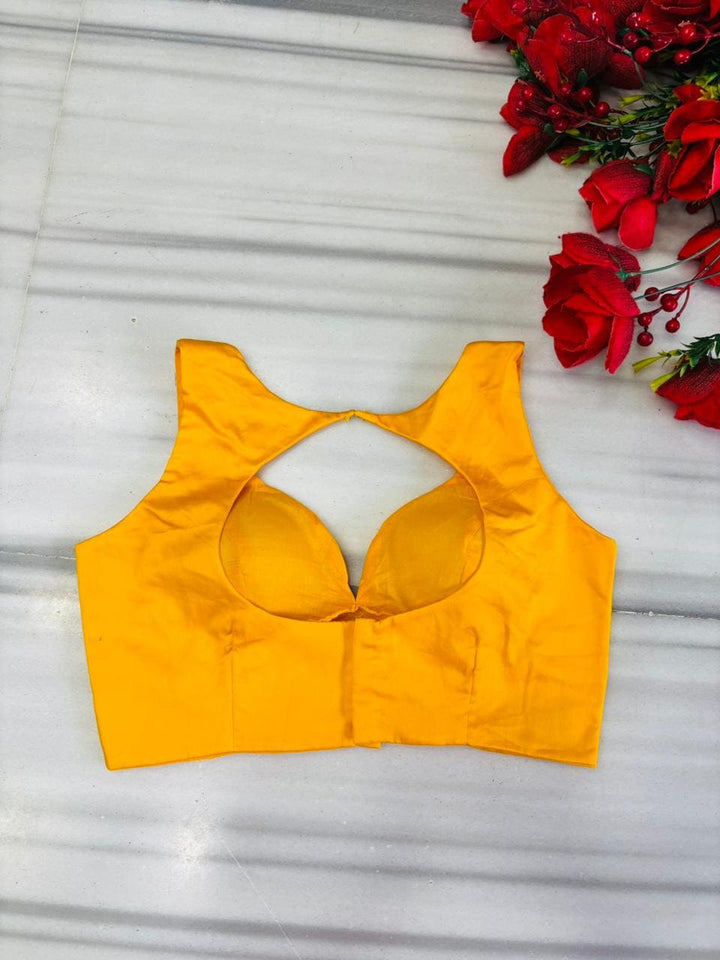Gems of Glamour (Fancy Designer Blouse)