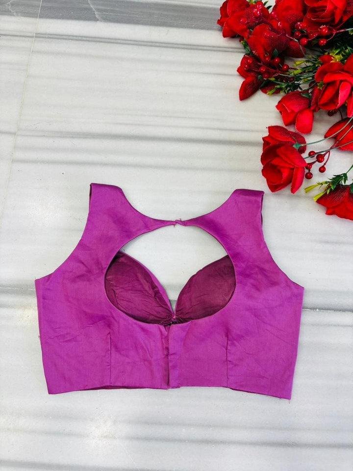 Gems of Glamour (Fancy Designer Blouse)