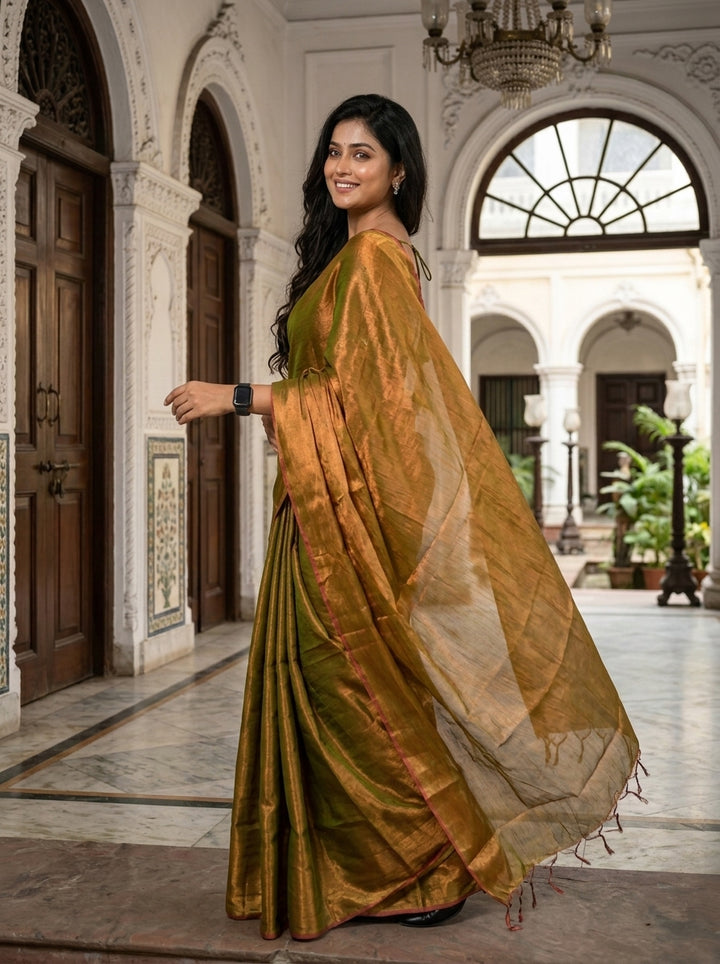 Parineeta-  A Endless Story