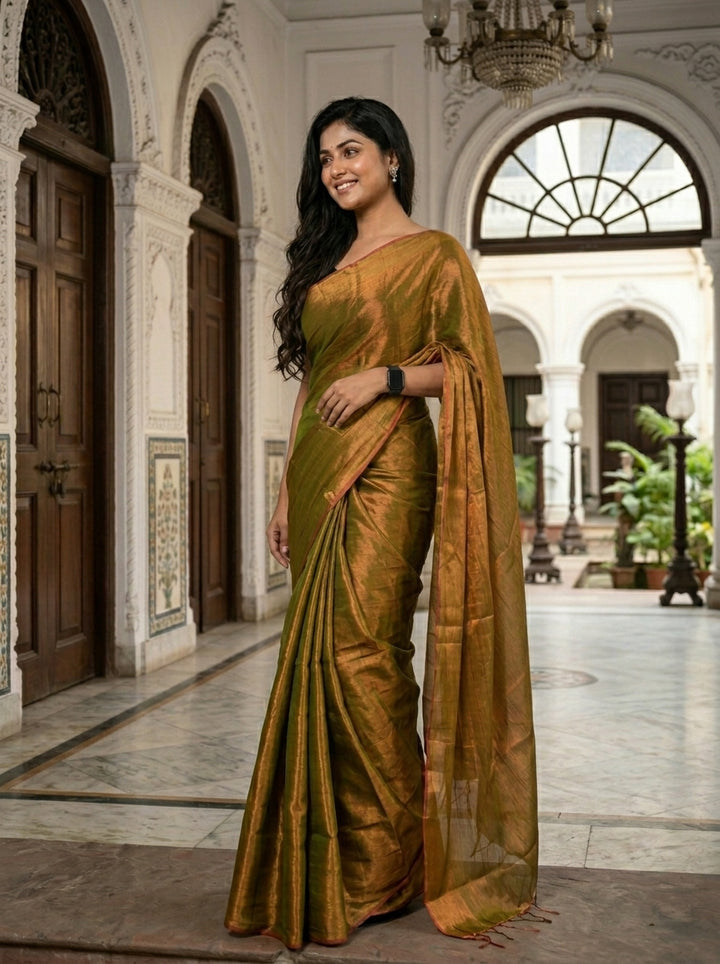 Parineeta-  A Endless Story
