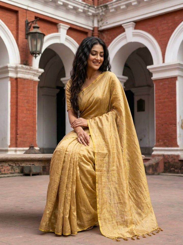Parineeta-  A Endless Story