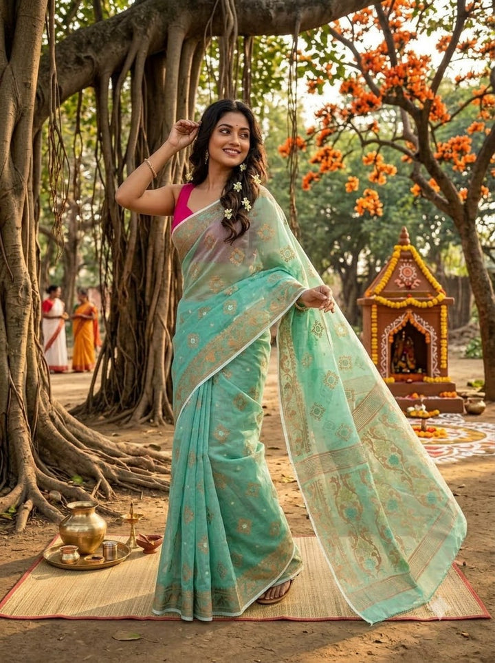 Raag Dhumketu Dhakai Jamdani Saree