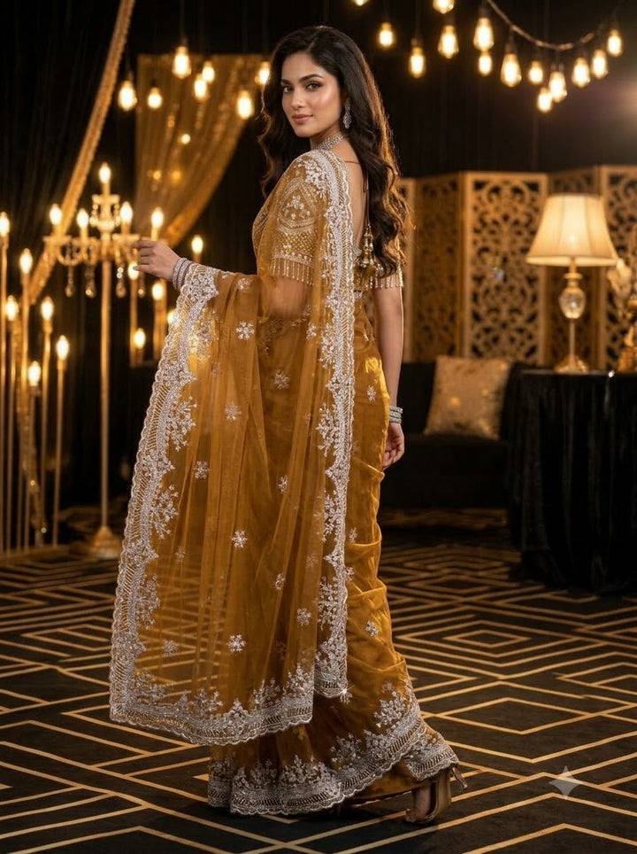 Afterglow Drape Net Saree
