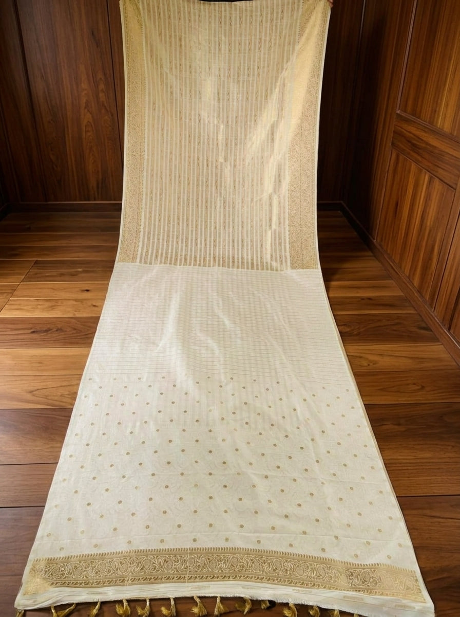 Preciously Kept In Banarasi Georgette  Silk Saree