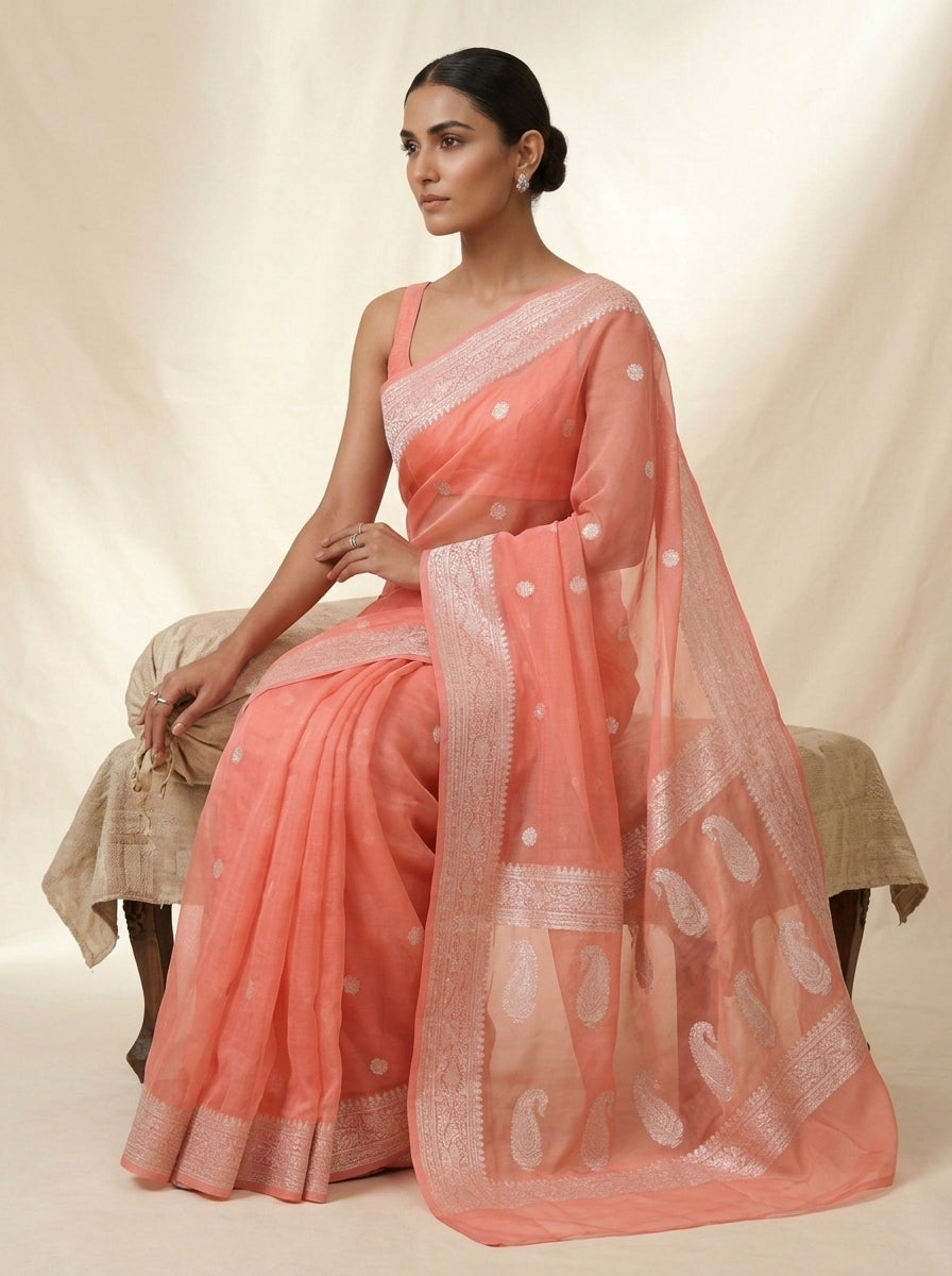 The Silver Heirloom – Khaddi Chiffon Banarasi Saree