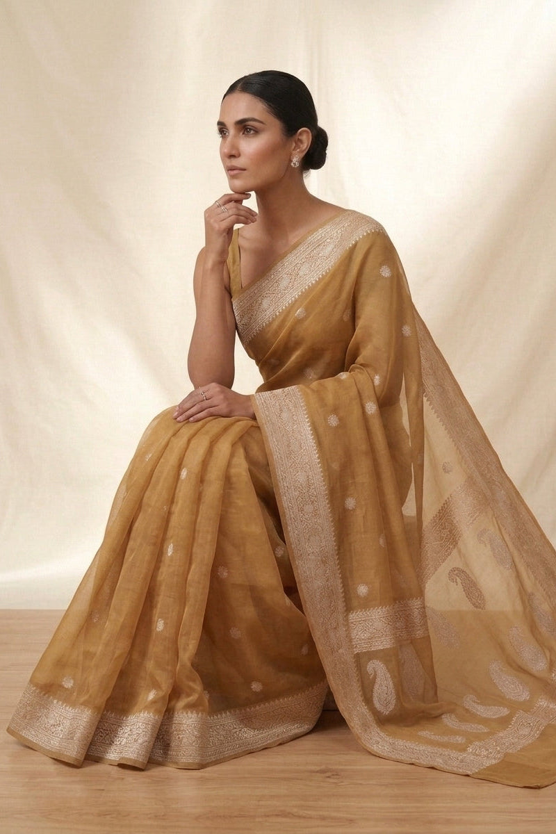 The Silver Heirloom – Khaddi Chiffon Banarasi Saree