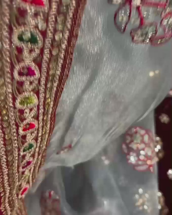 Way Too Beautiful (Organza Silk Saree)