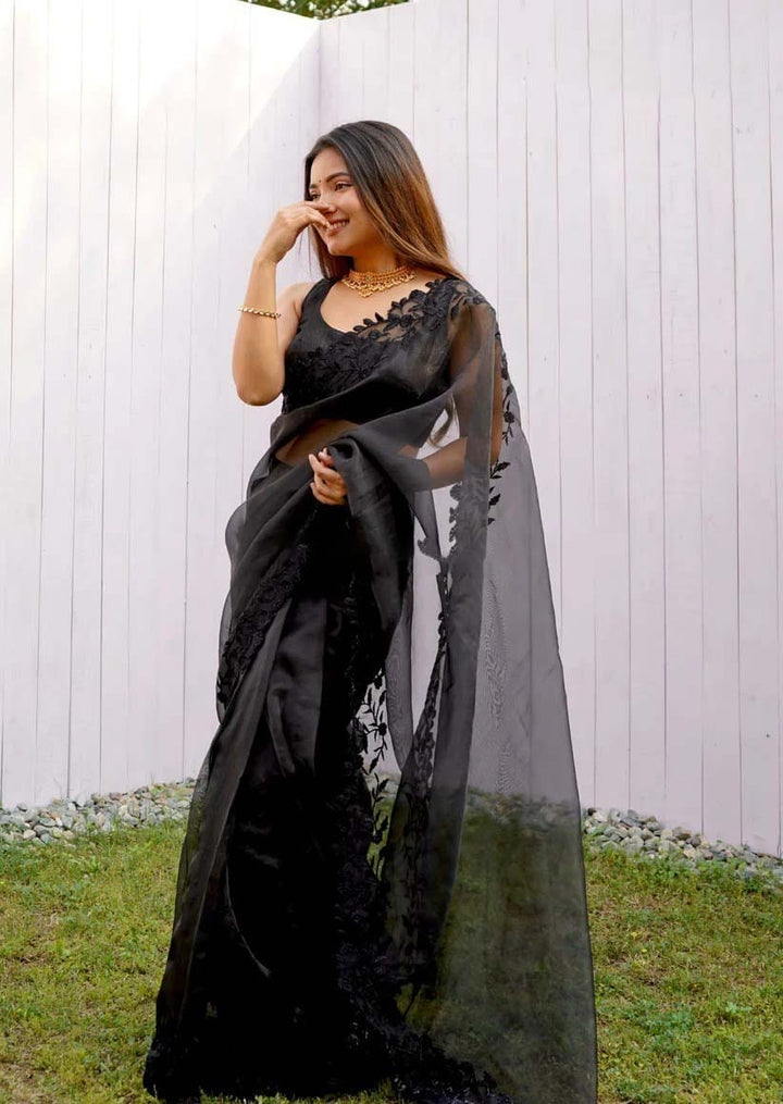 One in One Organza Saree