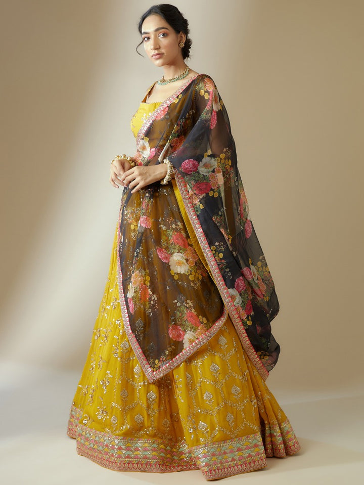 My Drama Spirit -  Lehenga