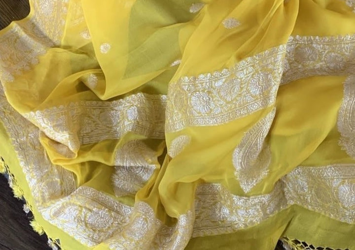 Khaddi Chiffon Banarasi Saree