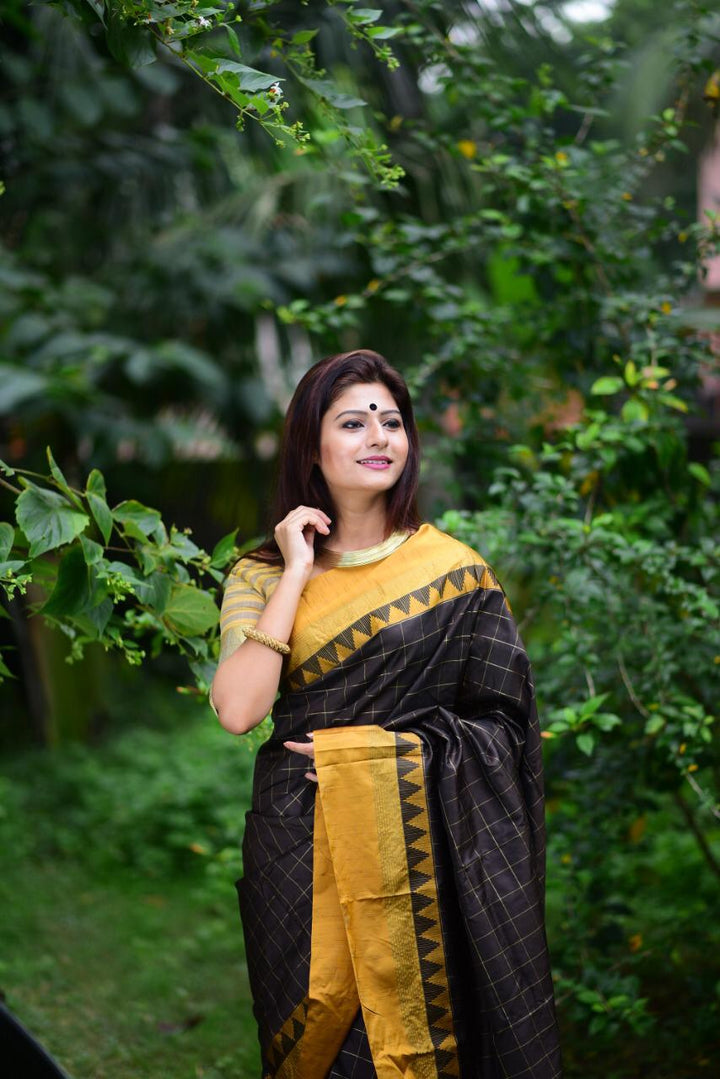 Banarasi Silk Saree