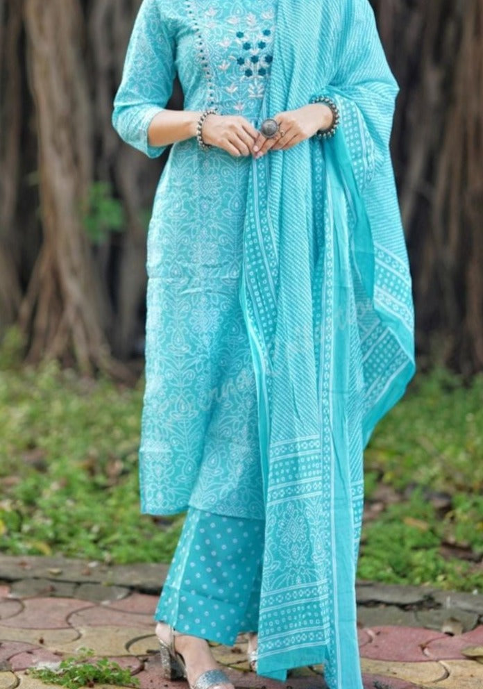 Enthusiastic Sky Blue Straight Kurti Set