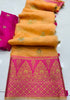 Kanchipuram Organza  Silk Saree