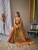 Banarasi  Tissue Silk Saree
