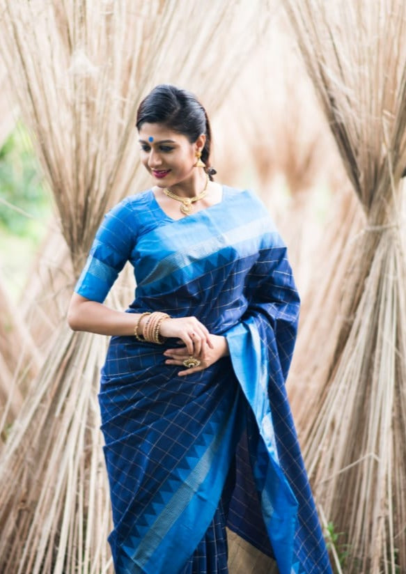 Banarasi Silk Saree