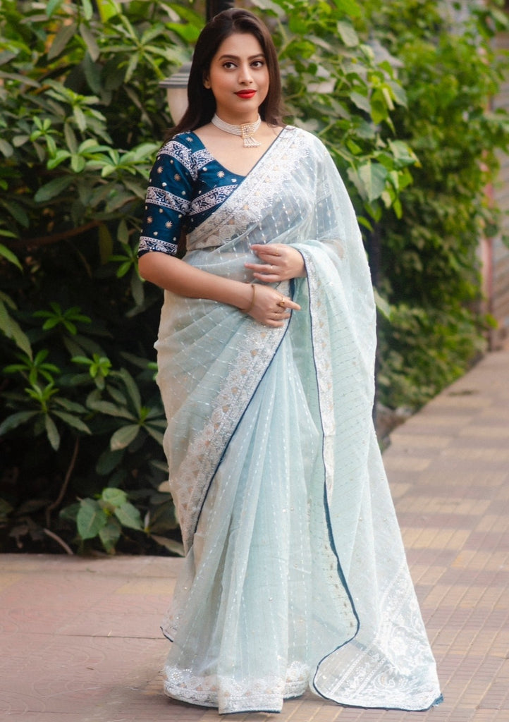 Pure Organza Saree With Banarasi Borders | JCL652