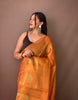 Banarasi  Tissue Silk Saree
